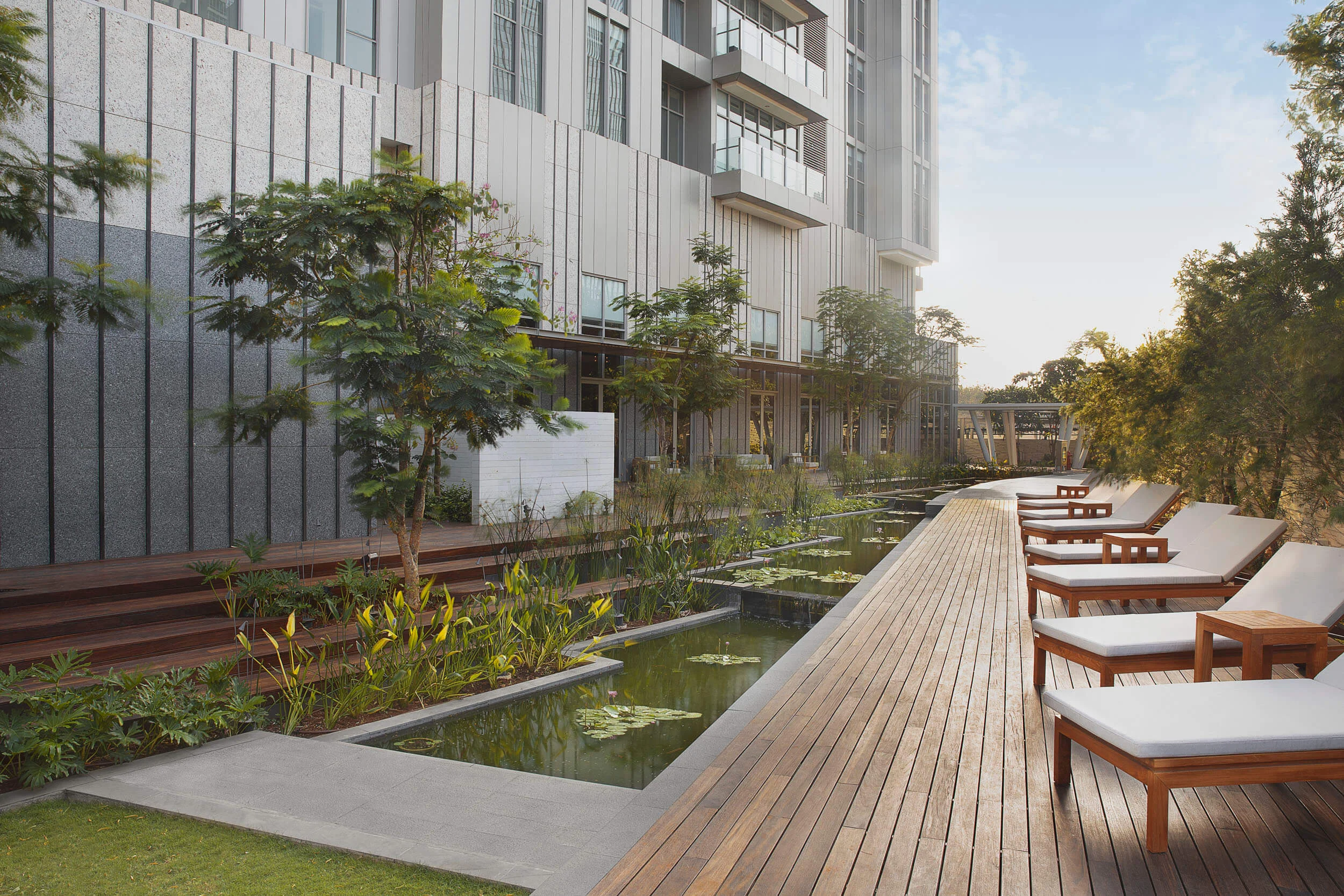Sensory Garden